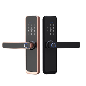 Smart Door Lock