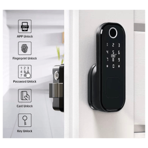WiFi Smart RIM Lock